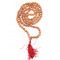 Rudraksha Mala 6Mukhi-Six Face 108Beads Certifide